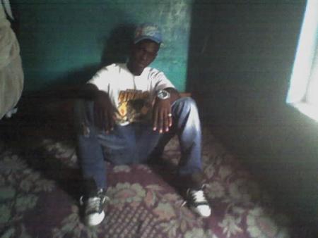  paulin 