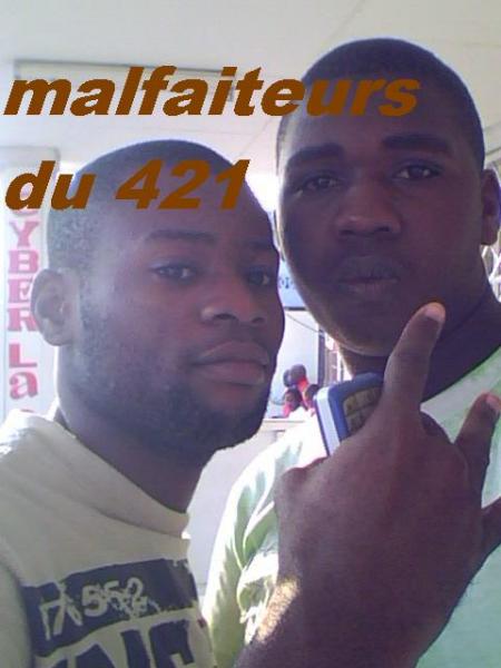 ls malfaiteur du 421